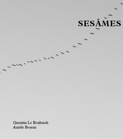 Première de couverture du livre Sésâmes.
