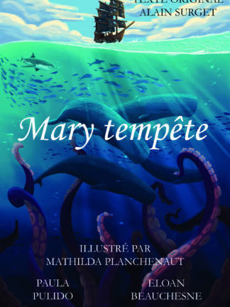 première de couverture provisoire du livre Mary tempête.