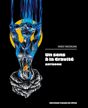 Première de couverture de la jaquette du livre Un sens à la Gravité.
