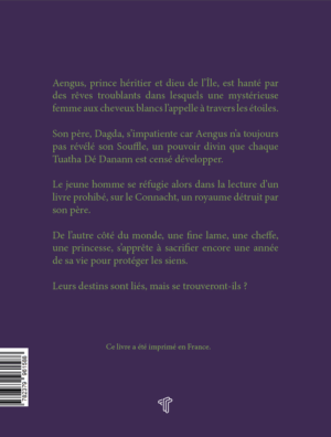 Caer et Aengus – Image 2