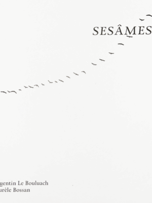 Sesâmes